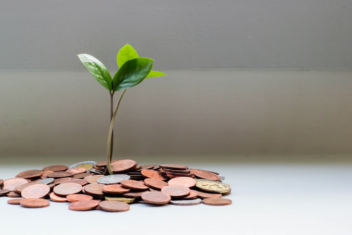 Moedas e planta simbolizando economia com desconto de multas
